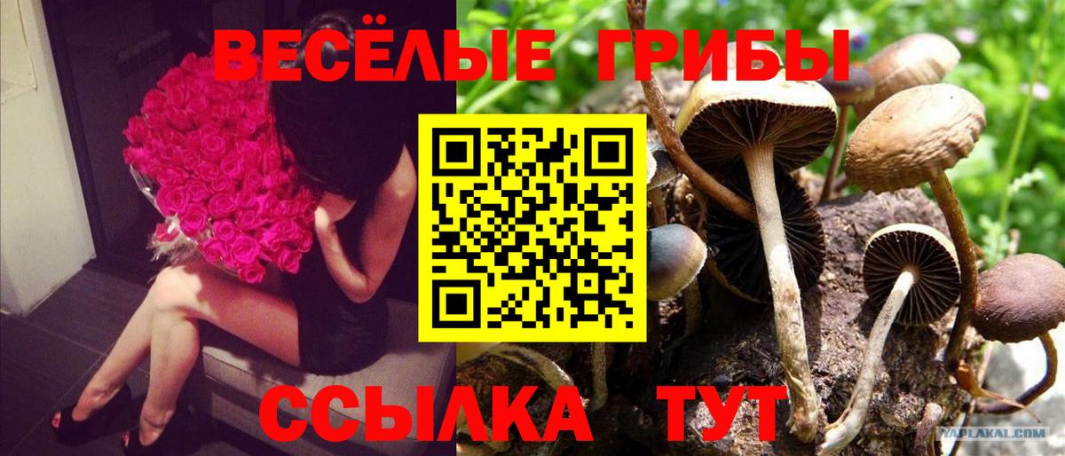 Джанкой  Псилоцибиновые грибы прущие грибы  Вход с VPN 